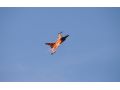 F16 widescreen
