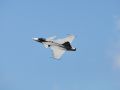 Saab Jas 39 Gripen