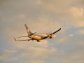 Travel Free Airplane