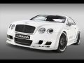 Hamann Bentley Imperator